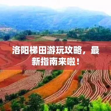 洛陽梯田游玩攻略，最新指南來啦！