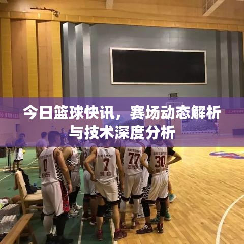 今日籃球快訊，賽場動態(tài)解析與技術(shù)深度分析