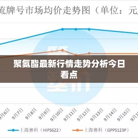 2025年5月6日 第13頁