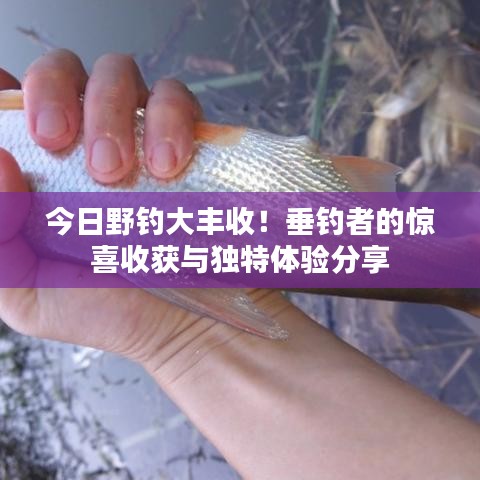 今日野釣大豐收！垂釣者的驚喜收獲與獨(dú)特體驗分享