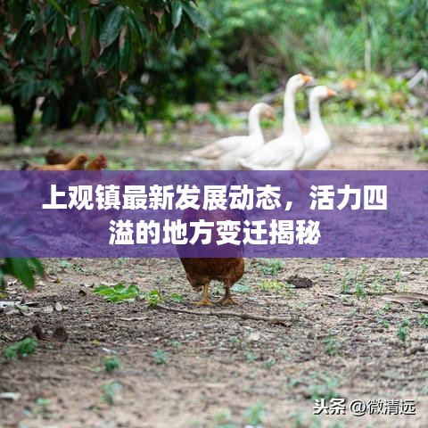 上觀鎮(zhèn)最新發(fā)展動態(tài)，活力四溢的地方變遷揭秘