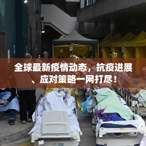 全球最新疫情動態(tài)，抗疫進展、應(yīng)對策略一網(wǎng)打盡！