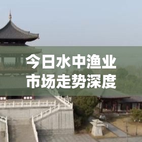 今日水中漁業(yè)市場走勢深度解析