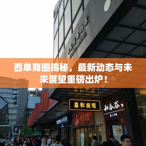 西單商圈揭秘，最新動態(tài)與未來展望重磅出爐！