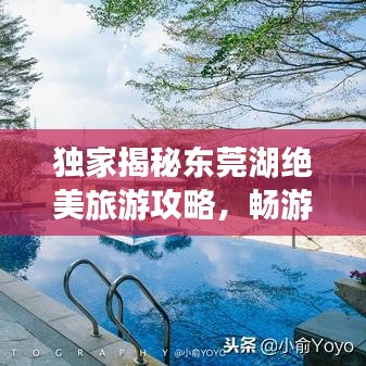 獨(dú)家揭秘東莞湖絕美旅游攻略，暢游湖光山色，盡享自然盛宴