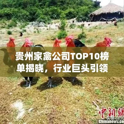 貴州家禽公司TOP10榜單揭曉，行業(yè)巨頭引領(lǐng)發(fā)展潮流