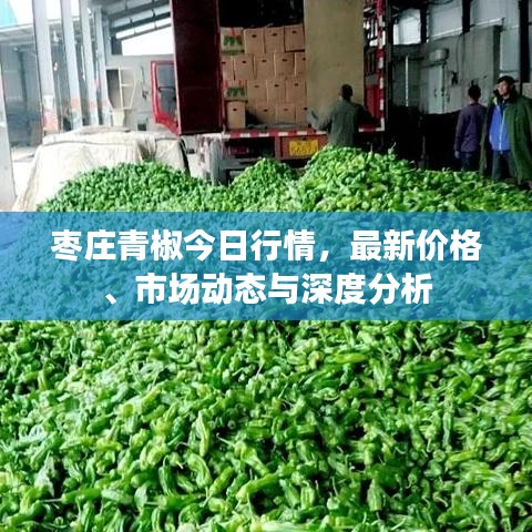 棗莊青椒今日行情，最新價格、市場動態(tài)與深度分析