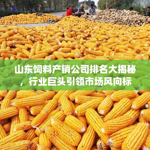 山東飼料產(chǎn)銷公司排名大揭秘，行業(yè)巨頭引領(lǐng)市場風向標