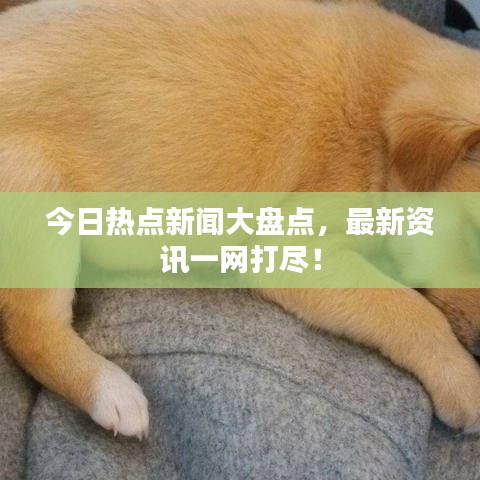今日熱點(diǎn)新聞大盤點(diǎn)，最新資訊一網(wǎng)打盡！