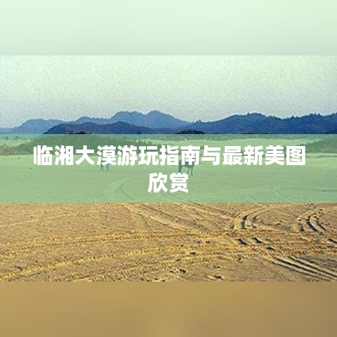 2025年5月7日 第13頁