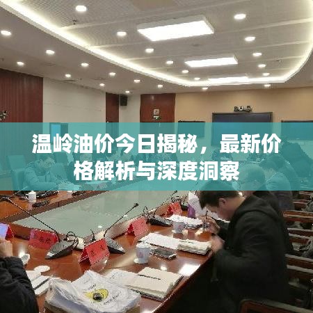 溫嶺油價(jià)今日揭秘，最新價(jià)格解析與深度洞察