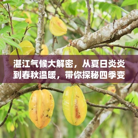 2025年5月7日 第5頁(yè)