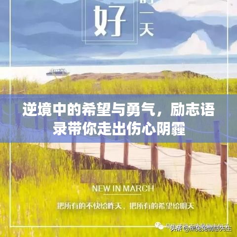 逆境中的希望與勇氣，勵(lì)志語(yǔ)錄帶你走出傷心陰霾