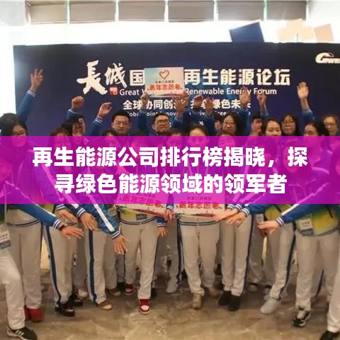 再生能源公司排行榜揭曉，探尋綠色能源領(lǐng)域的領(lǐng)軍者