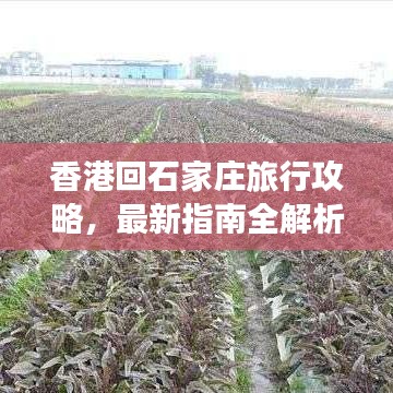 香港回石家莊旅行攻略，最新指南全解析