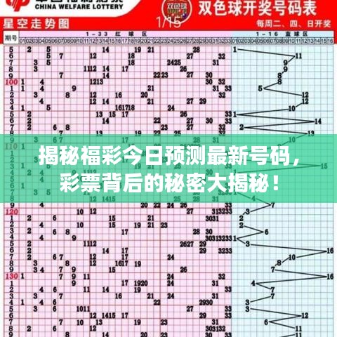揭秘福彩今日預測最新號碼，彩票背后的秘密大揭秘！