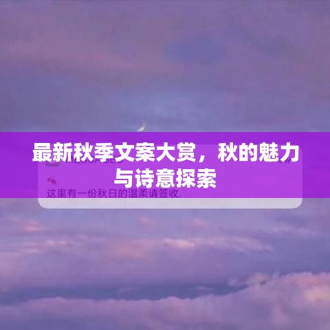 最新秋季文案大賞，秋的魅力與詩(shī)意探索
