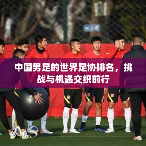 中國男足的世界足協(xié)排名，挑戰(zhàn)與機(jī)遇交織前行