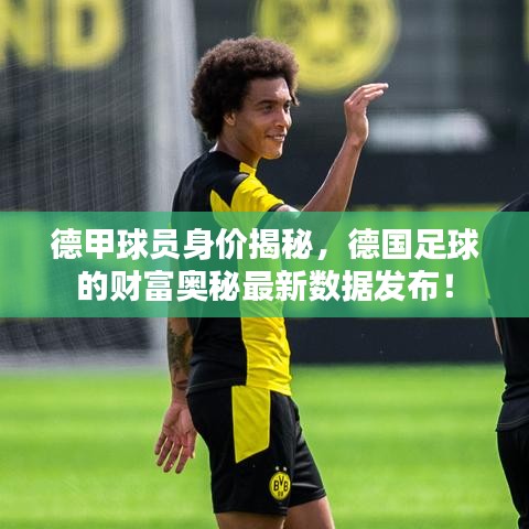 德甲球員身價揭秘，德國足球的財富奧秘最新數(shù)據(jù)發(fā)布！