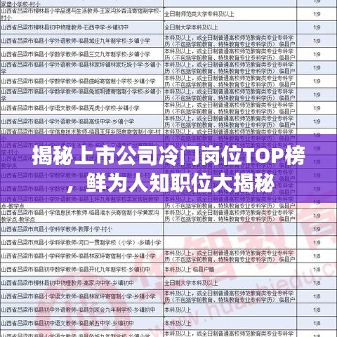 揭秘上市公司冷門崗位TOP榜，鮮為人知職位大揭秘