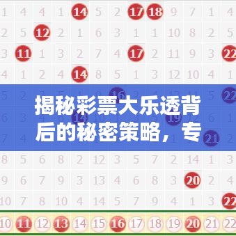 揭秘彩票大樂透背后的秘密策略，專家最新推薦，助你贏取大獎(jiǎng)！