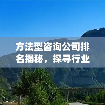 方法型咨詢公司排名揭秘，探尋行業(yè)領(lǐng)袖成功的秘訣！
