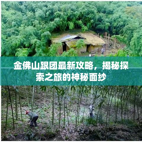 金佛山跟團最新攻略，揭秘探索之旅的神秘面紗