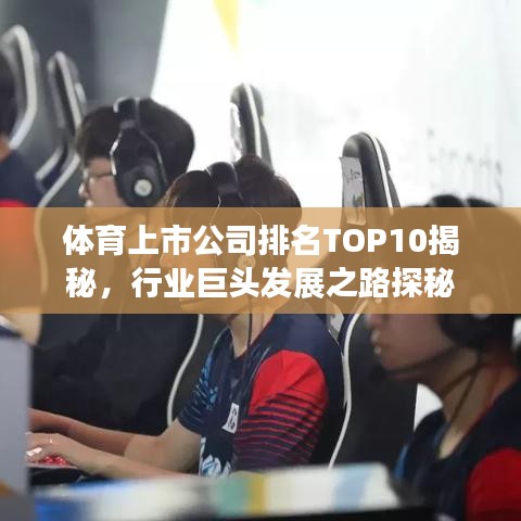 體育上市公司排名TOP10揭秘，行業(yè)巨頭發(fā)展之路探秘