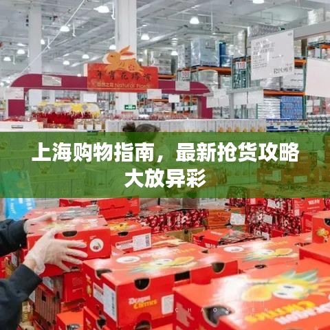 飛箭如蝗 第2頁