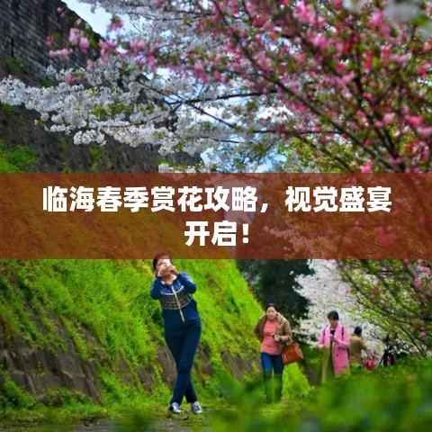 臨海春季賞花攻略，視覺盛宴開啟！