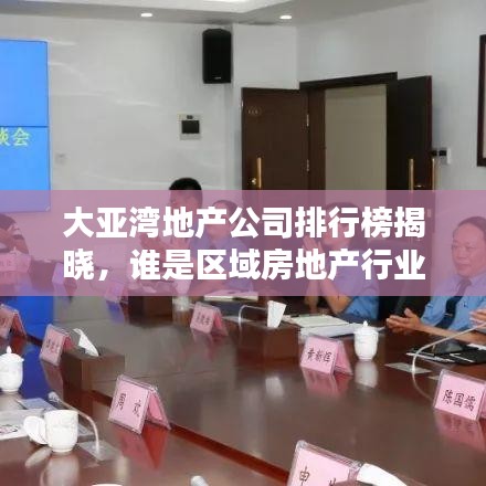 大亞灣地產公司排行榜揭曉，誰是區(qū)域房地產行業(yè)的領頭羊？