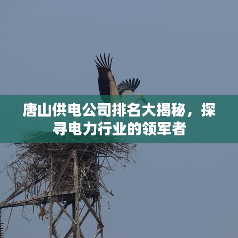 唐山供電公司排名大揭秘，探尋電力行業(yè)的領(lǐng)軍者