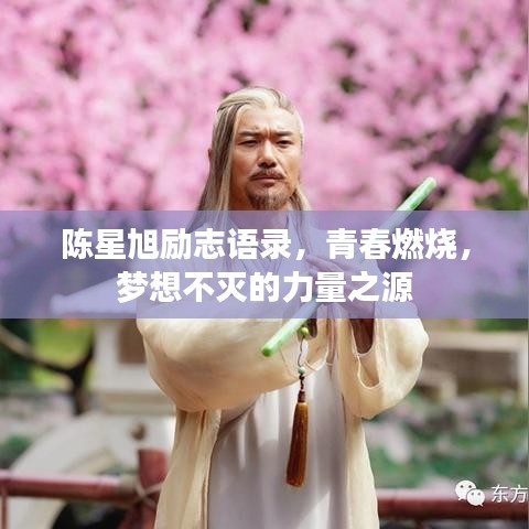 陳星旭勵志語錄，青春燃燒，夢想不滅的力量之源