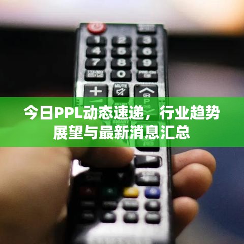 今日PPL動(dòng)態(tài)速遞，行業(yè)趨勢(shì)展望與最新消息匯總