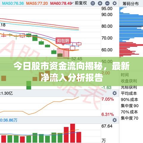 今日股市資金流向揭秘，最新凈流入分析報(bào)告