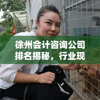 徐州會計咨詢公司排名揭秘，行業(yè)現(xiàn)狀及未來趨勢分析