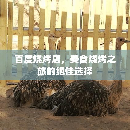 百度燒烤店，美食燒烤之旅的絕佳選擇