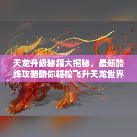 天龍升級秘籍大揭秘，最新路線攻略助你輕松飛升天龍世界！
