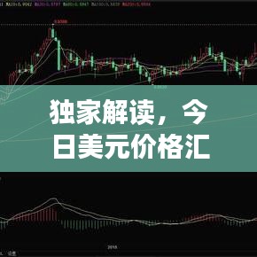 獨家解讀，今日美元價格匯率走勢分析，影響及未來預(yù)測