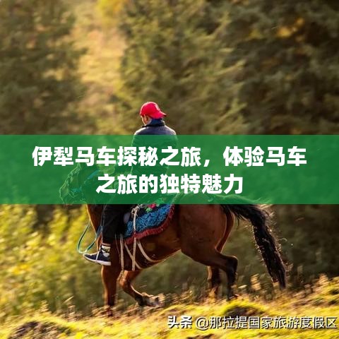 伊犁馬車探秘之旅，體驗馬車之旅的獨特魅力