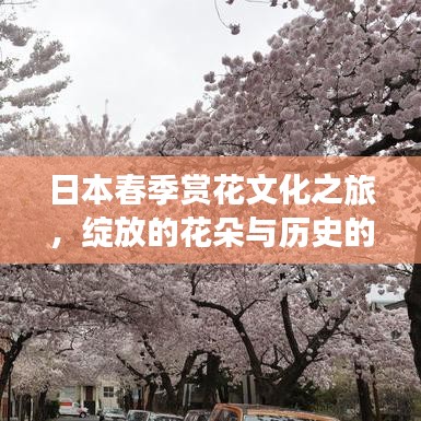 日本春季賞花文化之旅，綻放的花朵與歷史的盛宴