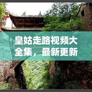 皇姑走路視頻大全集，最新更新，一覽無(wú)余