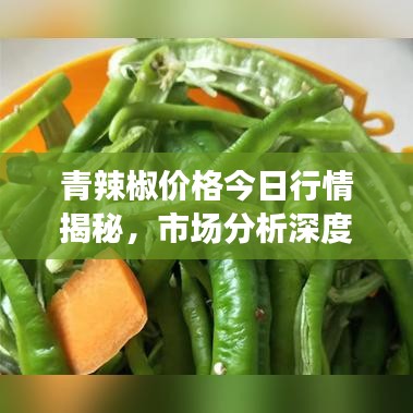 青辣椒價(jià)格今日行情揭秘，市場(chǎng)分析深度解讀
