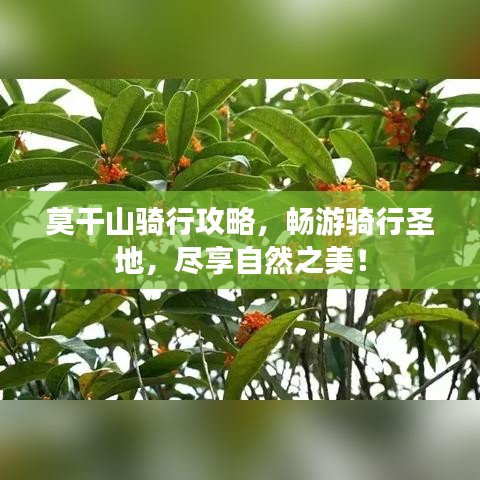 鴻飛雪爪 第2頁(yè)