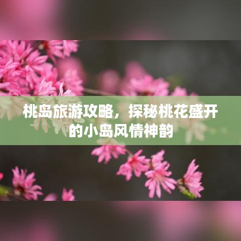 桃島旅游攻略，探秘桃花盛開的小島風(fēng)情神韻