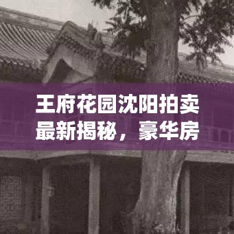 王府花園沈陽拍賣最新揭秘，豪華房產(chǎn)背后的故事重磅來襲！