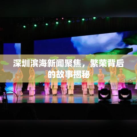 深圳濱海新聞聚焦，繁榮背后的故事揭秘