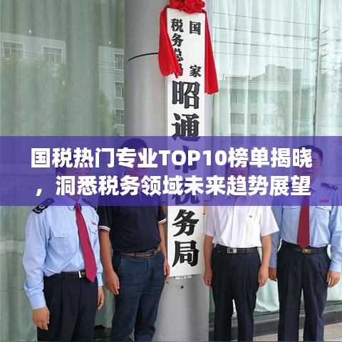 國(guó)稅熱門專業(yè)TOP10榜單揭曉，洞悉稅務(wù)領(lǐng)域未來(lái)趨勢(shì)展望
