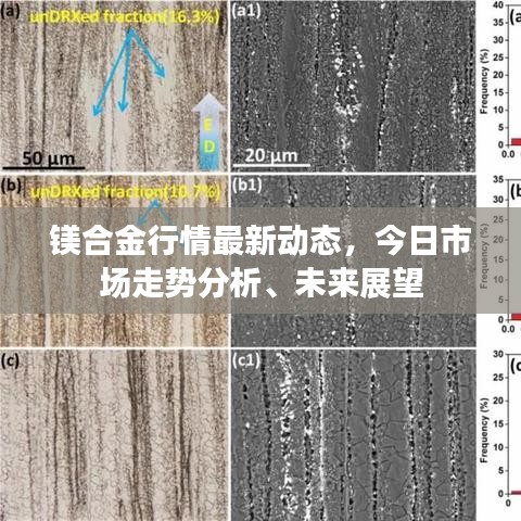 鎂合金行情最新動態(tài)，今日市場走勢分析、未來展望
