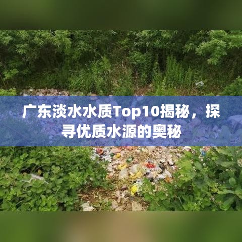 廣東淡水水質(zhì)Top10揭秘，探尋優(yōu)質(zhì)水源的奧秘